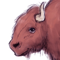 story_elves_buffalo_zebra_kangaroo_thumb